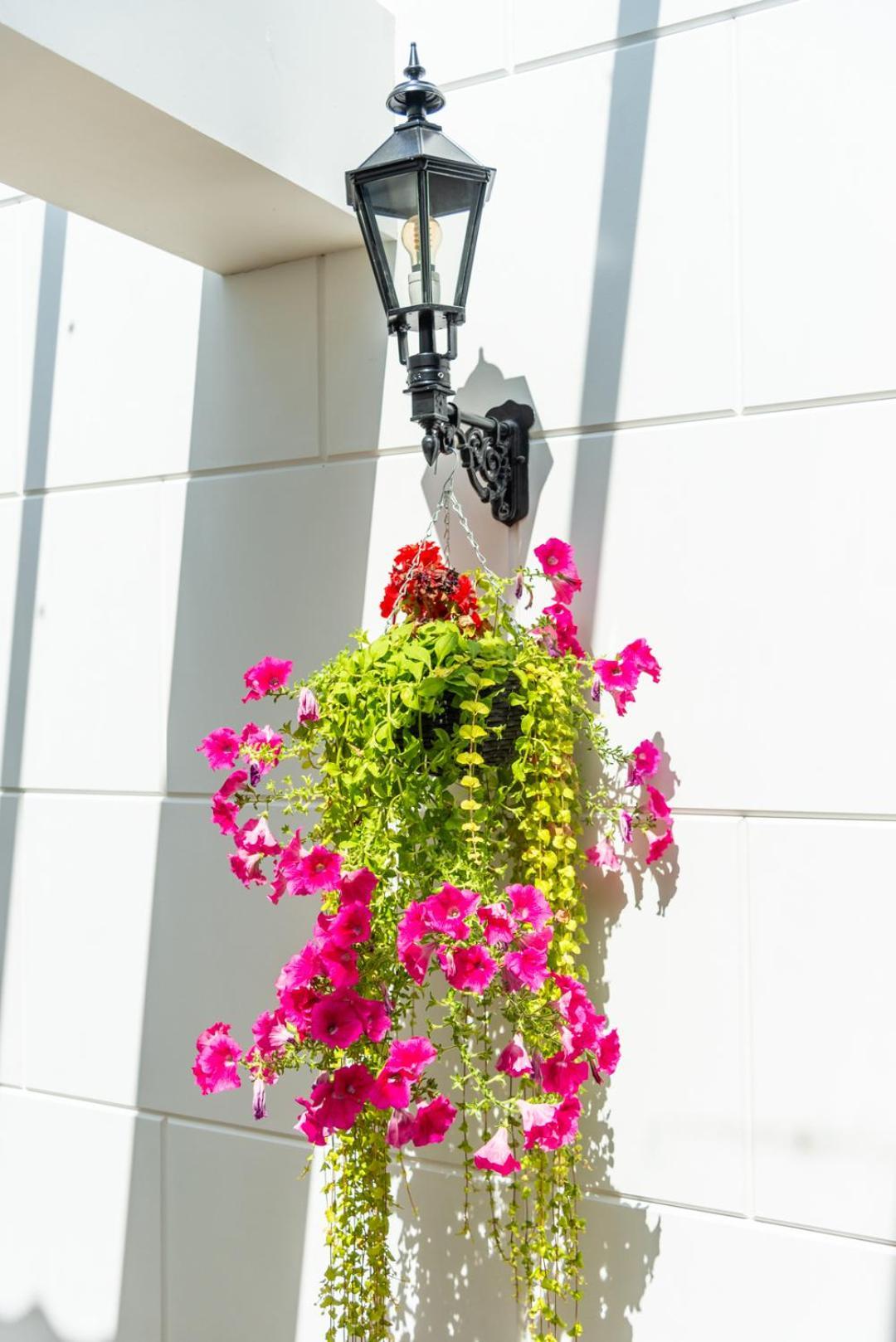 אלקמאר Grapelli Boutique Hotel מראה חיצוני תמונה